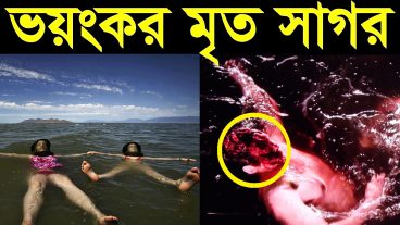 জর্ডানের Dead Seaমৃতসাগর-এর অবাক করা অজানা রহস্য