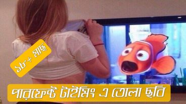 10 টি পারফেক্ট টাইমিং এ তোলা ছবি যা দেখলে আপনি