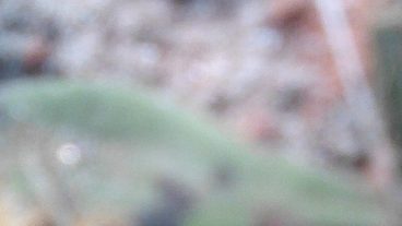 যারা টিমে কাজ করে অনলাইন থেকে মাসে ৮ থেকে ১০ হাজার টাকা ইনকাম করতে চান এবং যাদের google adsence আকউন্ট আছে তারা এই post টি দেখুন