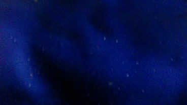 বাংলাদেশি এপ থেকে Flexiload নিন তারাতারি করুন ইউজার ২০ হাজার এর বেশি হয়ে গেছে আমি  অনেকবার পেমেন্ট নিছি