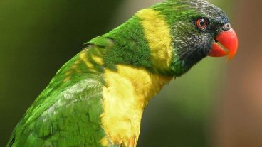 ১ টাকায় ২০ জিবি ১০ দিন মেয়াদ এরকম চমকপ্রদ অফার খুঁজছেন? নাকি অল্প টাকায় সারামাস ননস্টপ নেট কানেকশন খুঁজছেন?