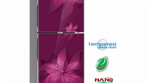 সাধ্যের মধ্যে সর্বাধুনিক প্রযুক্তির ফ্রিজ