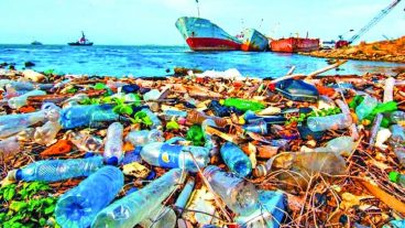 Experts for eliminating plastic pollution