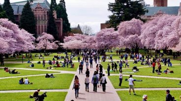 জাপানে উচ্চশিক্ষা বিষয়ক  ফ্রি সেমিনার