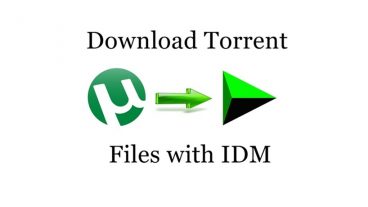 এবার যেকোন টরেন্ট ফাইল IDM দিয়ে ডাউনলোড করুন হাই স্পীডে [Resume Supported]