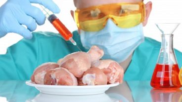 হাইটেক-খাবারের দখলেই কি যাচ্ছে পৃথিবী?