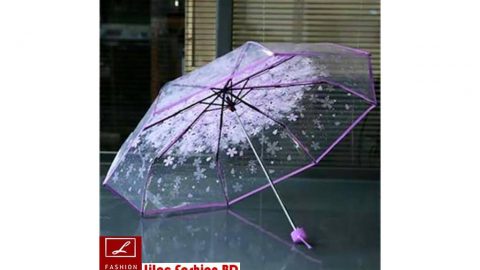 বৃষ্টি বাদলের নিত্য সঙ্গী