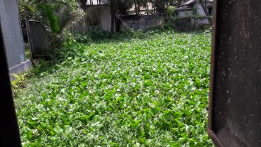 আজব দুনিয়ার কিছু তথ্য