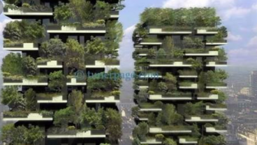 পৃথিবীর বিস্ময়কর কিছু সত্য ঘটনা ও মজার সব তথ্য