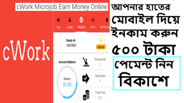 500 taka income form cwork