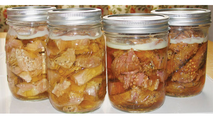 Fridge and Freezer Transcom Digital BD