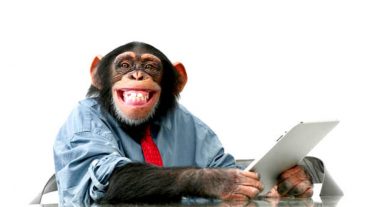 মানুষ বাদে বিশ্বের সবথেকে সেরা ১০ বুদ্ধিমান প্রাণী ভিডিও