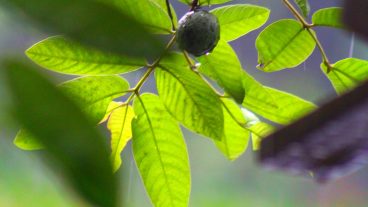 মোবাইল দিয়ে HDR Effect করে আপনার ছবিকে করুন আরো সুন্দর্যময়