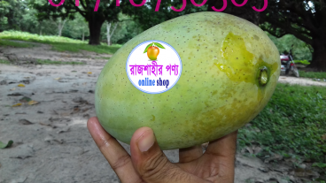 রাজশাহীর বিখ্যাত সুরমা ফজলী আম