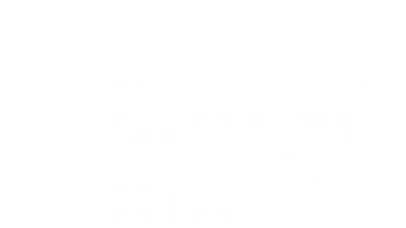 ফড়িংয়ের দৃষ্টিশক্তি মানুষের চেয়ে বহুগুণ বেশি