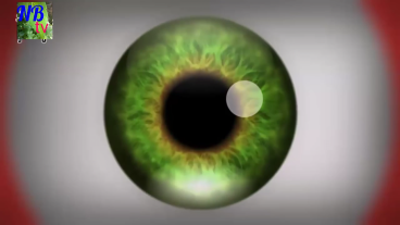 সাবধান মাথা ঘুরতে পরে এই টিউনটি দেখলে