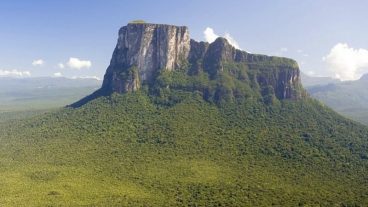 ৬০ কিলোমিটার উঁচু গাছ  [Video]