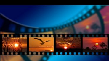 এনালগ স্থির ছবির ব্যবস্থাপনা