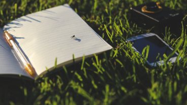 পরিবেশ বাঁচাতে ঘাসের তৈরী কাগজ