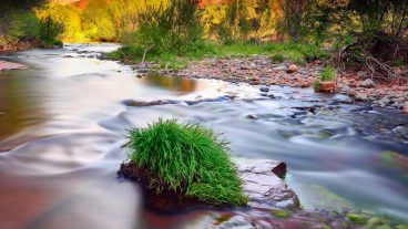 অাপনার অ্যান্ড্রয়েড ফোনের জন্য নিয়ে নিন অসাধারন কয়েকটি Nature Wallpaper ফ্রিতে