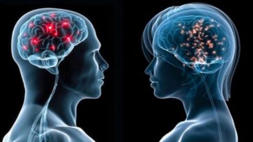 আপনার মস্তিষ্কের মেমোরি ব্যাংক প্রতি সেকেন্ডে কত নতুন তথ্য গ্রহণ করতে পারে?