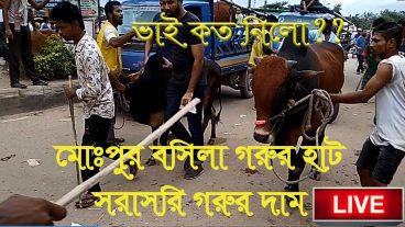 কোরবানীর গরু কে কত দিয়ে কিনল l সরাসরি ক্রেতাদের থেকে জেনে নিন l ভাই কত নিল l বোসিলা হাট LIVE