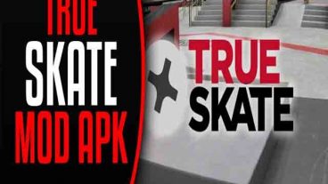 True Skate MOD, lots of money – Irfan