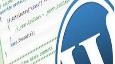 ওয়ার্ডপ্রেস কোডিং এর মেগা কালেকশন! লুফে নিন এক্ষুনি!