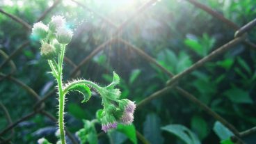 Photoshop Random Tutorial-I [অসাধারণ একটি ফটোগ্রাফি মেনিপুলেশন শিখুন খুব সহজেই]