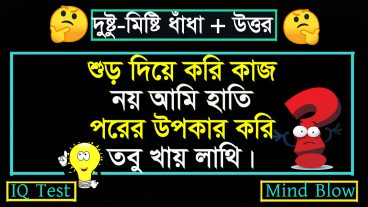 দুষ্টু-মিষ্টি ধাঁধা ৪ :বাংলার শ্রেষ্ঠ মজার বিয়ে বাড়ির ধাঁধা!
