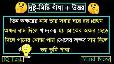 দুষ্টু-মিষ্টি ধাঁধা ২ :বাংলার শ্রেষ্ঠ মজার ধাঁধা