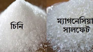 চিনির পরিবর্তে আমরা খাচ্ছি ম্যাগনেসিয়াম সালফেট সার