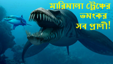 মারিয়ানা ট্রেঞ্চের ভিতর কোন ধরনের প্রাণী বসবাস করে?
