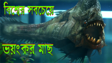 বিশ্বের সবচেয়ে ভয়ংকর মাছগুলো
