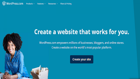WordPress কি?ওয়ার্ডপ্রেস ব্যবহার করে কিভাবে ওয়েবসাইট বানানো যায়?