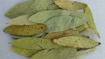 কোষ্ঠকাঠিণ্য কি এবং এর করণীয় জেনে রাখুন!