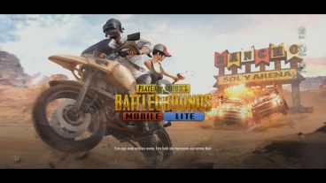 Pubg Lite for pc release on 24 jan 2019