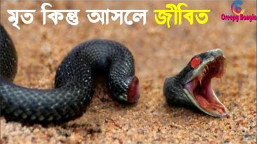 মৃত্যুর পরেও যে সব প্রাণীরা বেঁচে থাকতে পারে