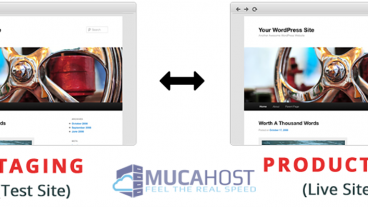 ওয়ার্ডপ্রেস স্টাগিং সাইট  কি? কিভাবে স্টাগিং ওয়েবসাইট ক্রিয়েট করবে বিস্তারিত জেনে নিন
