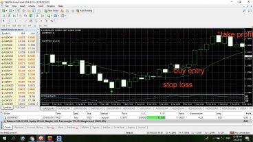 monthly 100 percent profit strategy