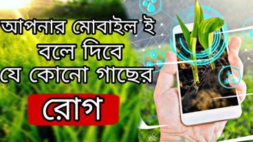 আপনার মোবাইল ই বলে দিবে যে কোনো গাছের রোগ