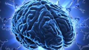 প্রযুক্তি কীভাবে মানুষের মস্তিষ্ককে প্রভাবিত করছে: 