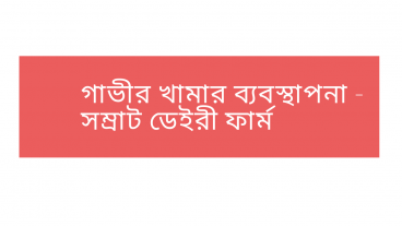 গাভীর খামার ব্যবস্থাপনা-সম্রাট ডেইরী ফার্ম