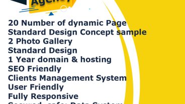 Website Design Agency