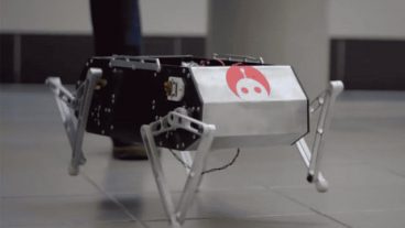 নতুন রোবট কুকুর বানিয়েছে স্ট্যানফোর্ড ইউনিভার্সিটির এক দল শিক্ষার্থী