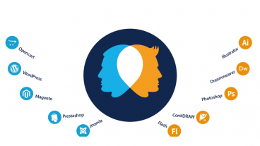 ওয়েব ডিজাইন নাকি ওয়েব ডেভেলপমেন্ট?