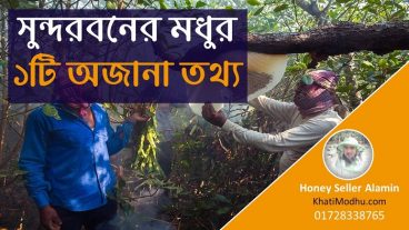 সুন্দরবনের মধুর একটি অজানা তথ্য যা সকলের জেনে রাখা উচিত