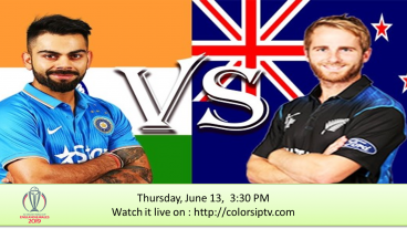 বিশ্বকাপের খেলা লাইভ দেখতে ভিজিট করুন কালারস আইপিটিভি তে