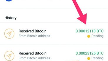 DOUBLE YOUR BTC/LTC/ETH IN 24 HOURS [With Prove]