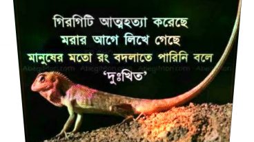 Usd2takacom ডলার বাই-সেল এই ওয়েবসাইট বিশেষ কায়দায় জালিয়াতি করছে জনসাধারণের টাকা- ডলার Fraud Alert